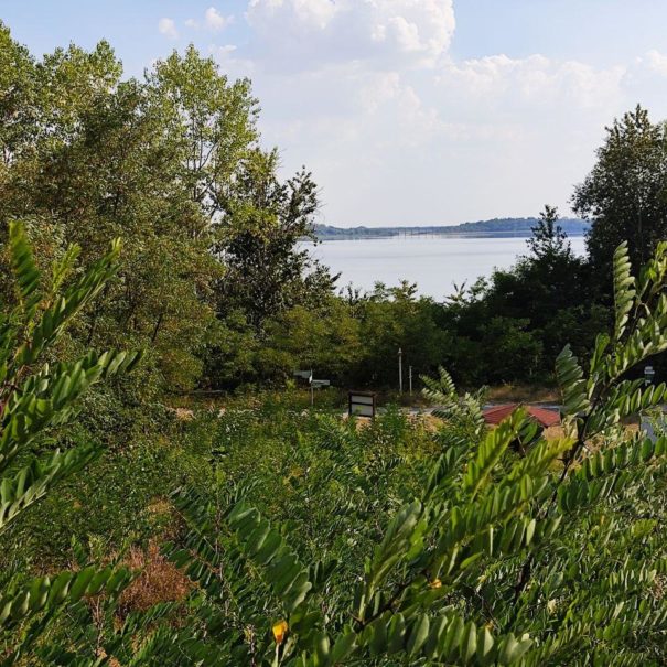 Kabine im Wald am See