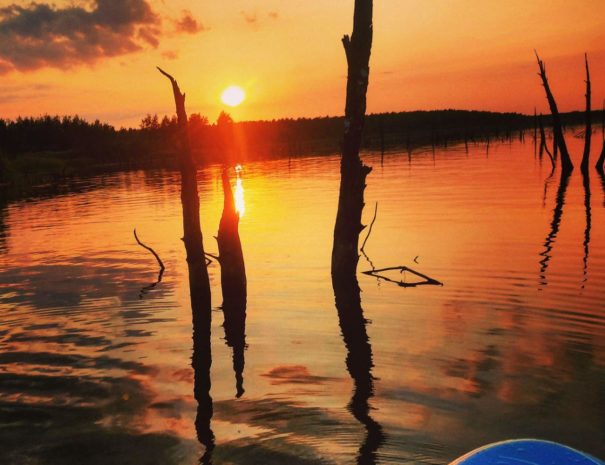 SUP beim Goitzsche Urlaub - Herrlicher Sonnentuntergang beim "Versunkenen Wald"