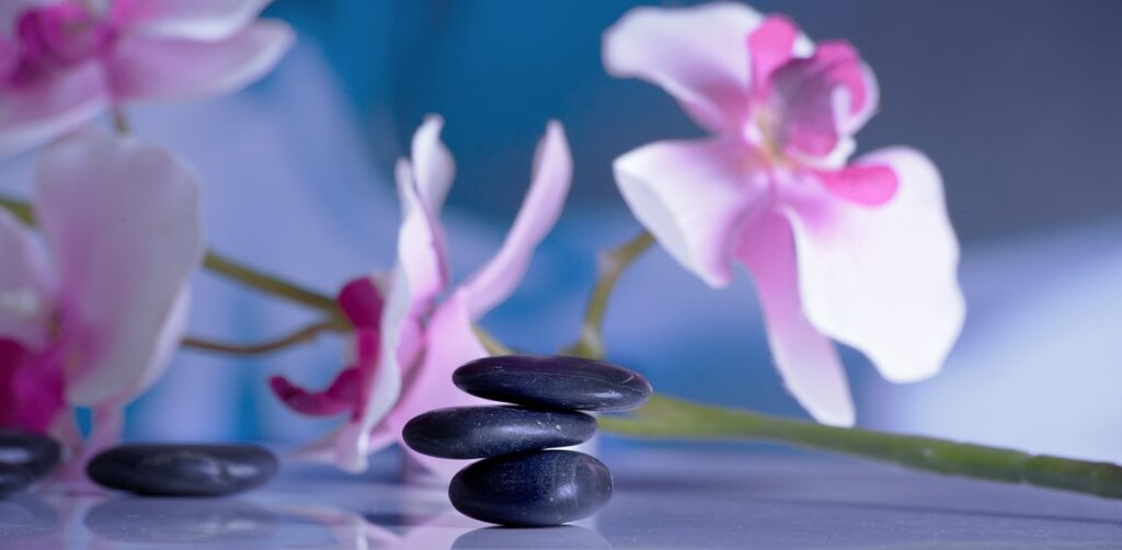 Heidespa Bad Düben - Wellness Blumen schön.